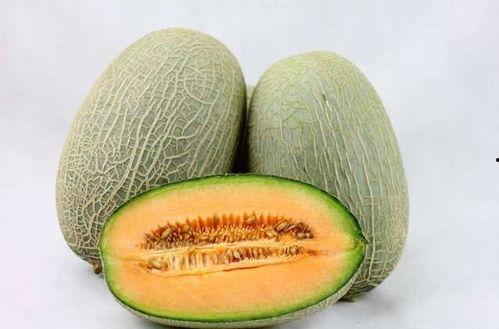 老头吃哈密瓜视频大全免费观看,老头吃哈密瓜视频大全，欢乐时光尽在此处  第2张