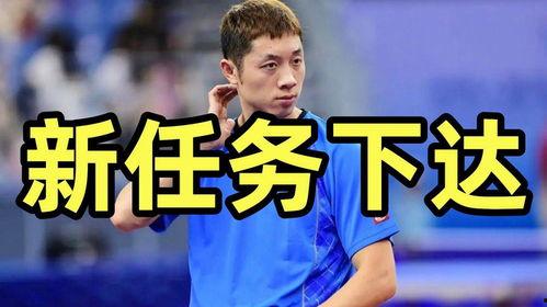 许昕最新爆料,我的乒乓球生涯幕后故事与心路历程”